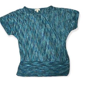 Blue DressBarn Professional T shirt